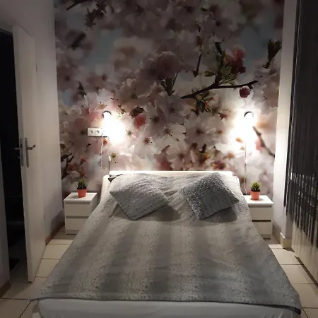 Stacja Centrum Auberge de jeunesse *